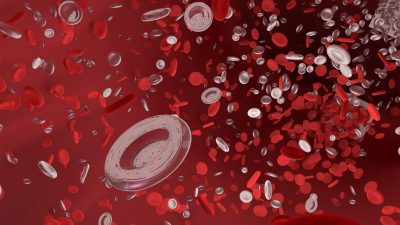 blood cells flowing